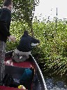Noch einer gefunden